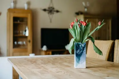 TV/Unterhaltungsangebot in der Unterkunft Ferienhaus Ricki