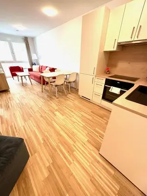 Küche/Küchenzeile in der Unterkunft FORSTHAUS 30 FREE GARAGE