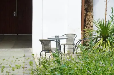 Ein Garten an der Unterkunft Chill & Relax Apartments Purbach