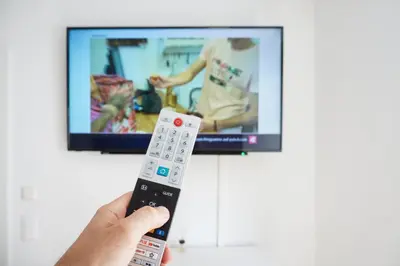 TV/Unterhaltungsangebot in der Unterkunft Chill & Relax Apartments Purbach