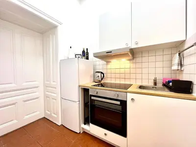Küche/Küchenzeile in der Unterkunft little cozy residence - enjoy autumn in Vienna