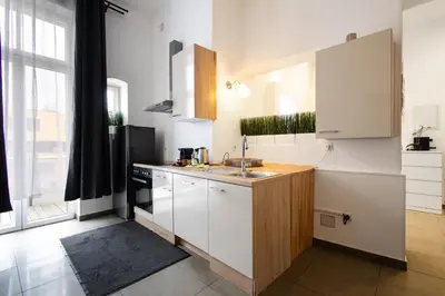 Küche/Küchenzeile in der Unterkunft Apartments 4 you Red Star 8