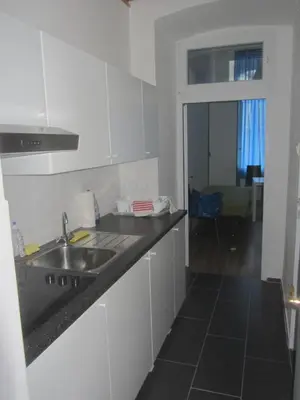 Küche/Küchenzeile in der Unterkunft Apartments Messe-Prater