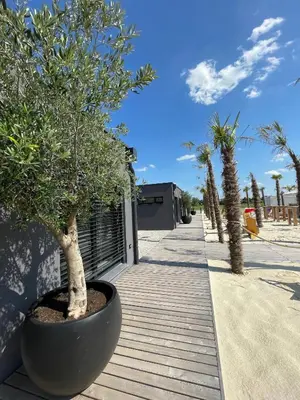 Grundriss der Unterkunft Pannolio Beach Boutique Apartment