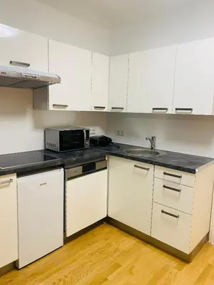 Küche/Küchenzeile in der Unterkunft NiceApartment BEETHOVENS