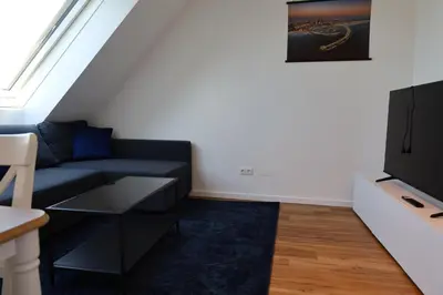 TV/Unterhaltungsangebot in der Unterkunft Penthouse Apartments
