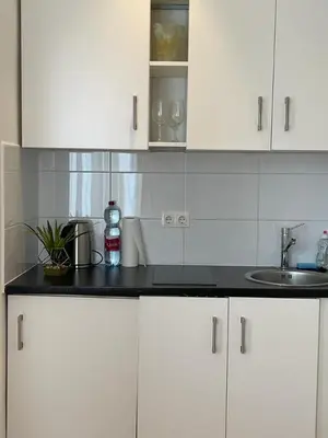 Küche/Küchenzeile in der Unterkunft vienna city apartment 1