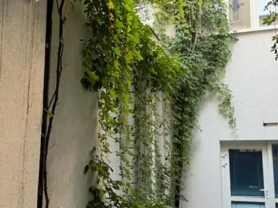 Ein Garten an der Unterkunft vienna city apartment 1