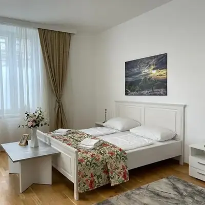 vienna city apartment 1