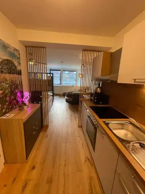 Küche/Küchenzeile in der Unterkunft MollArt Apartment