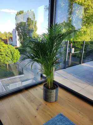 Ein Sitzbereich in der Unterkunft Luxuriöses Penthouse mit Blick auf die UNO-City und dem Kaiserwasser. 3Schlafzimmer, 2 Bäder, privat Lift ins Apartment