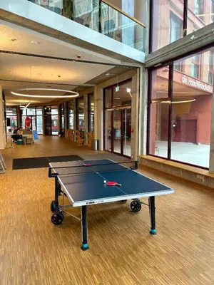 Tischtennis in der Unterkunft HausPension oder in der Nähe