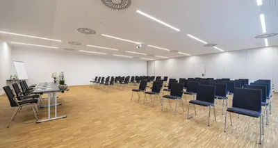 Der Geschäftsbereich oder Konferenzraum in der Unterkunft PLAZA INN Wiener Neustadt, BW Signature Collection