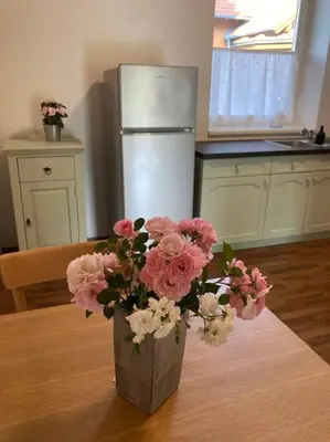 Küche/Küchenzeile in der Unterkunft Wohnung im Grünen