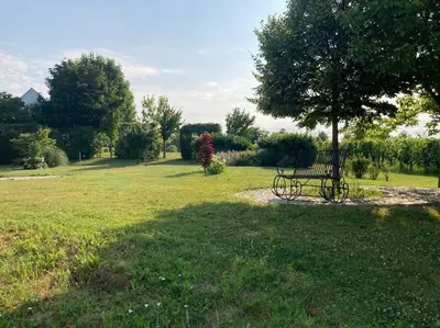 Ein Garten an der Unterkunft Wohnung im Grünen