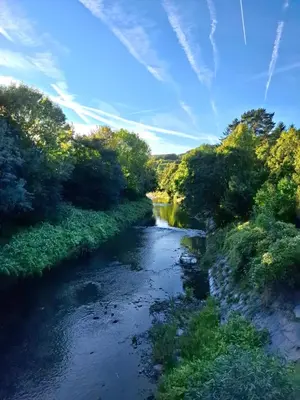 Naturlandschaft in der Nähe des Hostels