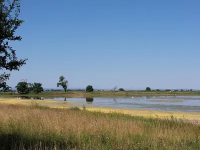 Naturlandschaft in der Nähe des Bed & Breakfasts