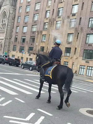 Reiten in der Ferienwohnung oder in der Nähe