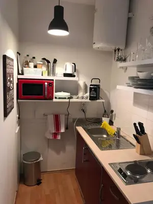 Küche/Küchenzeile in der Unterkunft Studio & Apartments near Reumannplatz