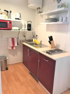 Küche/Küchenzeile in der Unterkunft Studio & Apartments near Reumannplatz