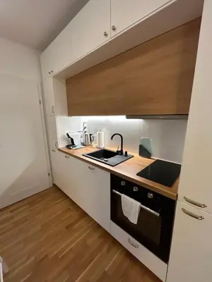 Küche/Küchenzeile in der Unterkunft Magnolia Apartment Vienna
