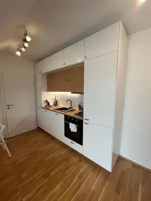 Küche/Küchenzeile in der Unterkunft Magnolia Apartment Vienna