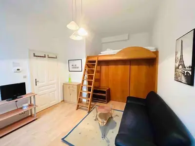 TV/Unterhaltungsangebot in der Unterkunft Retro chic - charming apartment near Augarten