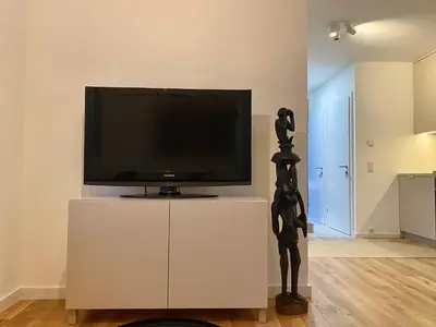 TV/Unterhaltungsangebot in der Unterkunft Modern Studio Gardenia_Gartenwohnung Alte Donau