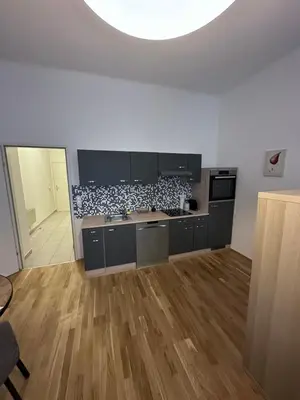 Küche/Küchenzeile in der Unterkunft Cozy Homes Vienna