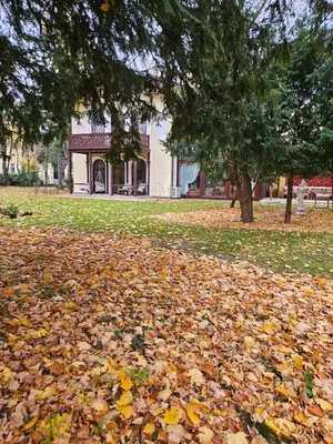 Ein Garten an der Unterkunft Villa Musik - historical apartments, Baden