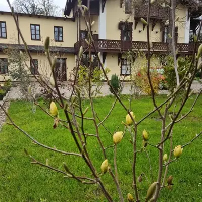 Villa Musik - historical apartments