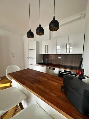 Küche/Küchenzeile in der Unterkunft Luxury 3 bedroom apartment near Schönbrunn Palace