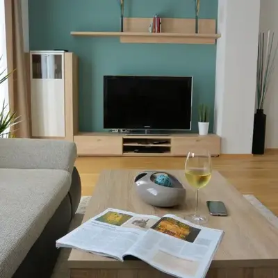 Apartment Vienna 22