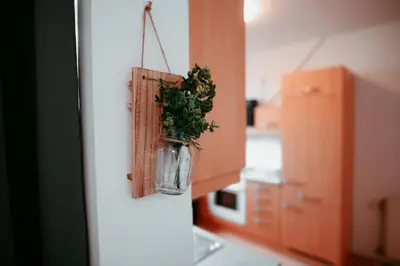 Küche/Küchenzeile in der Unterkunft Schönbrunn Gardens Vienna Apartment