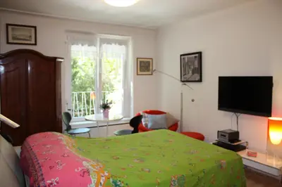 TV/Unterhaltungsangebot in der Unterkunft GoVienna - Charming Studio