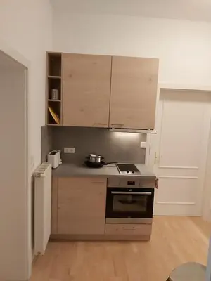 Küche/Küchenzeile in der Unterkunft Haus Gaaden