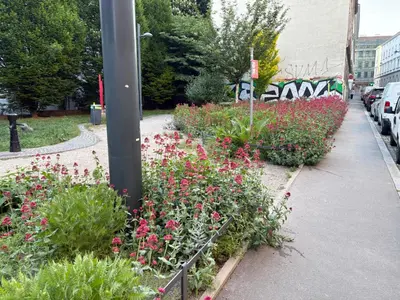 Ein Garten an der Unterkunft City-Refugium Mariahilfer Straße Stilvolles Wohnen am Puls der Stadt T4