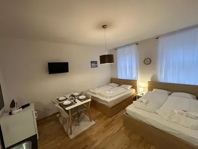 TV/Unterhaltungsangebot in der Unterkunft Cozy 5-Person Apartment in Vienna 6