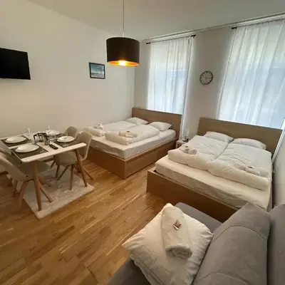 Cozy 5-Person Apartment in Vienna 6