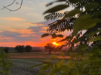 Blick auf den Sonnenuntergang/Sonnenaufgang von der Ferienwohnung aus oder aus der Nähe