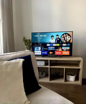 TV/Unterhaltungsangebot in der Unterkunft Charming Vienna Flat - near Metro & Volksoper