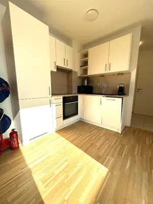Küche/Küchenzeile in der Unterkunft COHO City Apartments