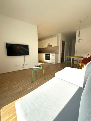 TV/Unterhaltungsangebot in der Unterkunft COHO City Apartments