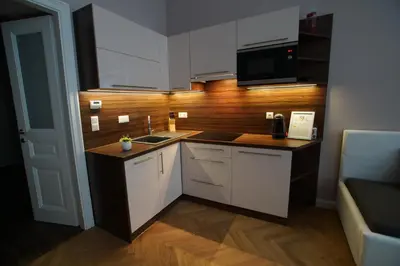 Küche/Küchenzeile in der Unterkunft Apartments-in-vienna