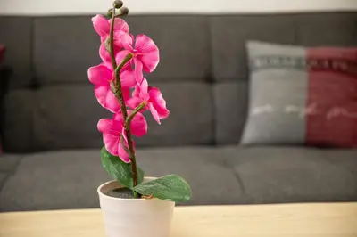 Ein Sitzbereich in der Unterkunft Apartment Rueppgasse Leopoldstadt Wien