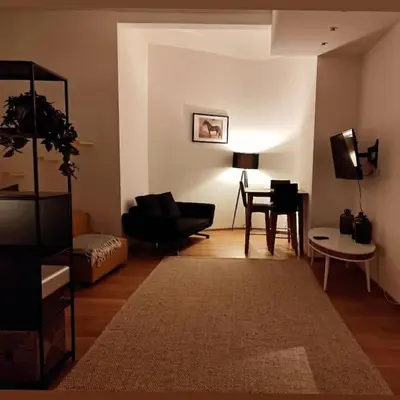 TV/Unterhaltungsangebot in der Unterkunft Designer Apartment between Stephansdome and Belvedere