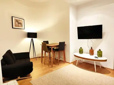 TV/Unterhaltungsangebot in der Unterkunft Designer Apartment between Stephansdome and Belvedere