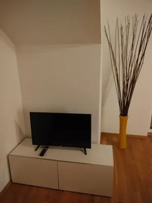 TV/Unterhaltungsangebot in der Unterkunft Self Check-in Doppelzimmer mit Seeblick und Klimaanlage - Neusiedlersee