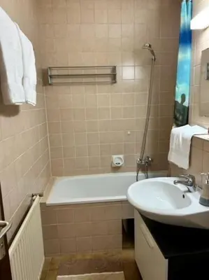Ein Badezimmer in der Unterkunft Neugebäudestrasse