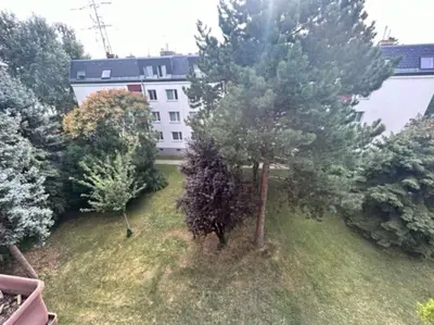 Ein Garten an der Unterkunft Neugebäudestrasse